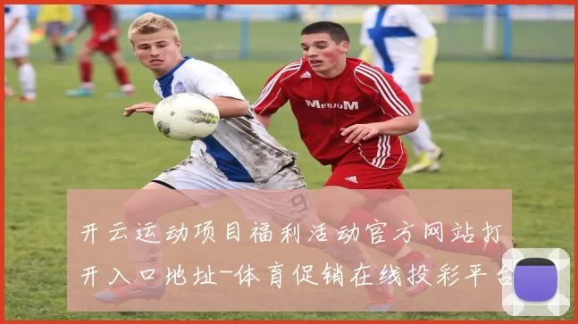 开云运动项目福利活动官方网站打开入口地址-体育促销在线投彩平台