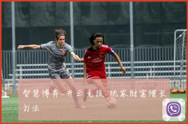 智慧博弈_开云竞技_玩家财富增长打法