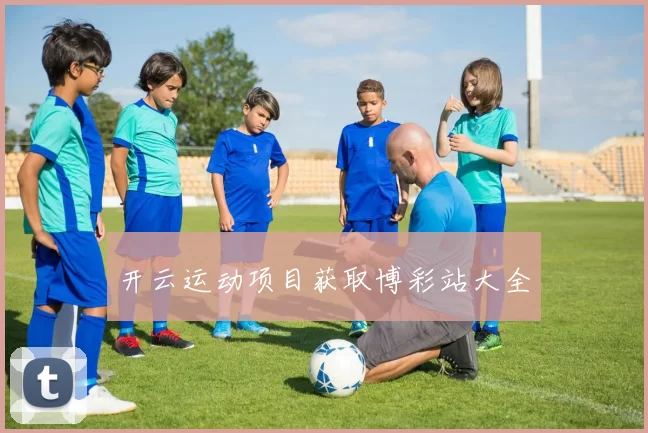 开云运动项目获取博彩站大全