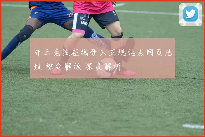 开云竞技在线登入正规站点网页地址 综合解读 深度解析